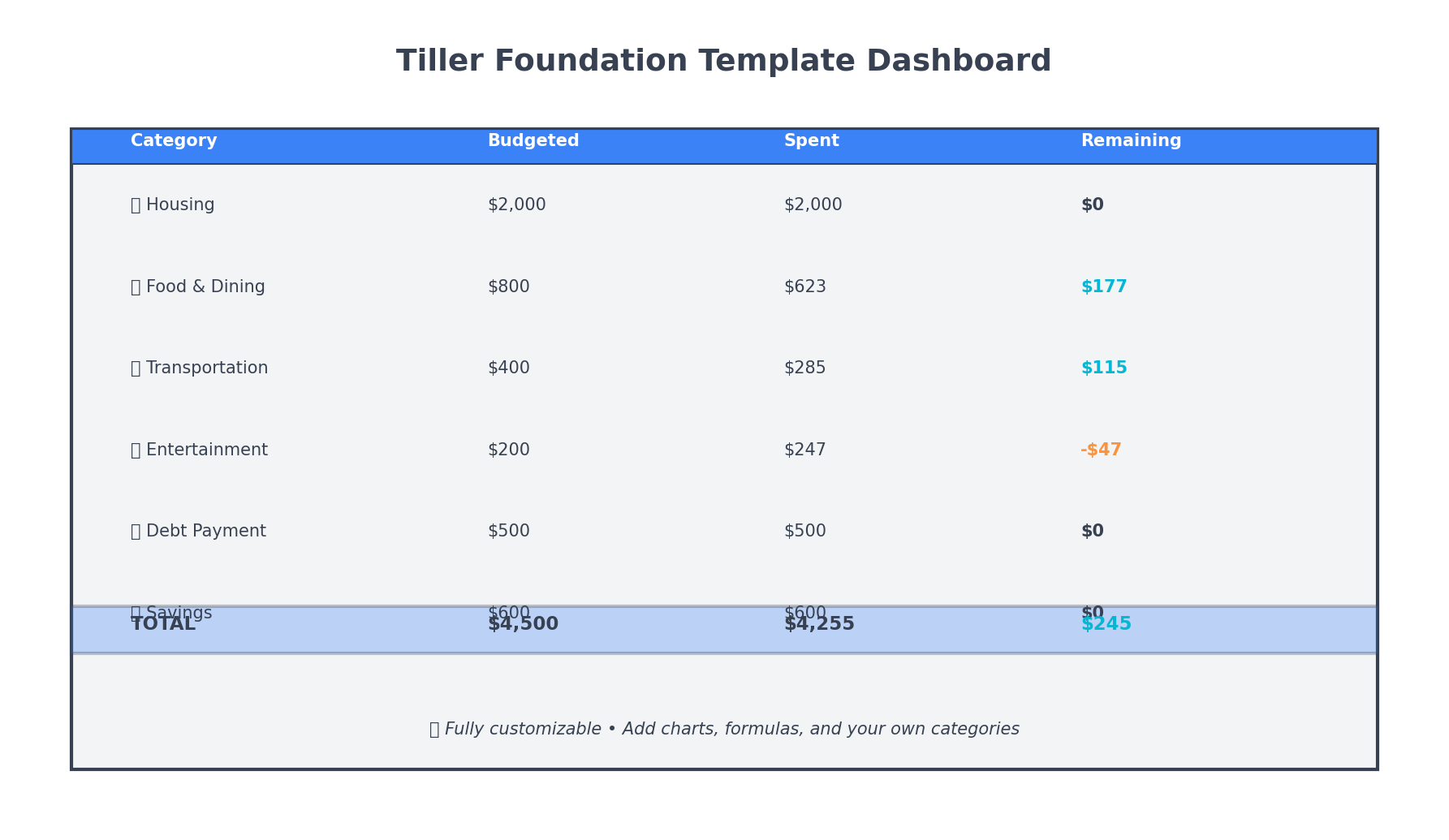 Tiller Money Foundation Template dashboard